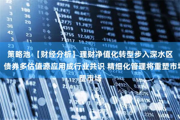 策略池 【财经分析】理财净值化转型步入深水区：债券多估值源应用成行业共识 精细化管理将重塑市场