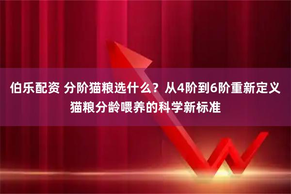 伯乐配资 分阶猫粮选什么？从4阶到6阶重新定义猫粮分龄喂养的科学新标准