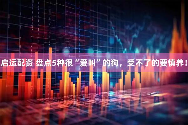 启运配资 盘点5种很“爱叫”的狗，受不了的要慎养！