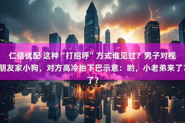 仁信优配 这种“打招呼”方式谁见过？男子对视朋友家小狗，对方高冷抬下巴示意：哟，小老弟来了？